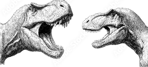 Engraved illustration of carnotaurus dinosaurs with open mouths
