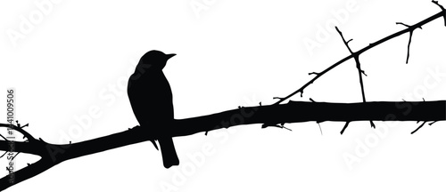 Lone Bird Silhouette on Winter Branch