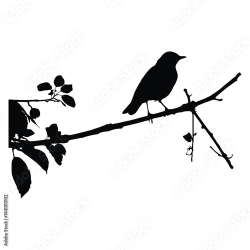 Garden Bird Silhouette on Spring Branch
