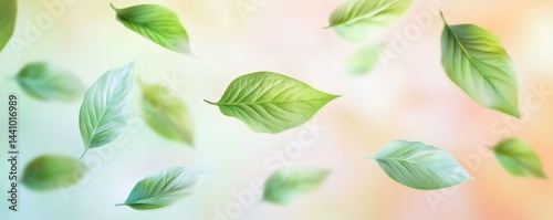 Delicate, vibrant green leaves gently drifting. photo