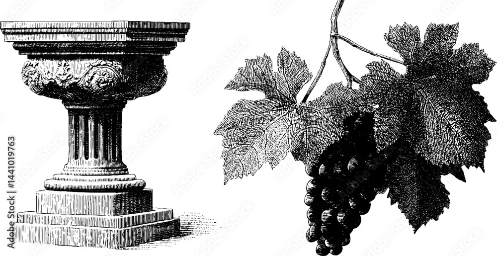 Fototapeta premium Ancient roman villa elements featuring engraved corinthian column and grapevine illustration