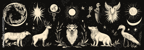 Set of mystical animals and magical elements for witchcraft- designs- 