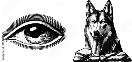 Mythical symbolism of odin's eye and wolf engraving for norse design