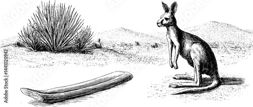 Engraved wildlife illustration featuring kangaroo and boomerang in natural setting