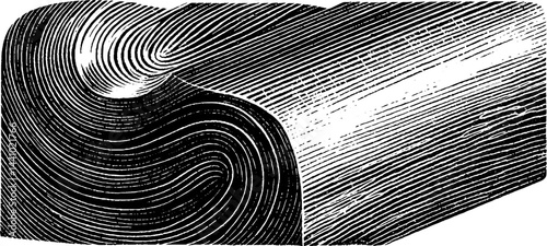 Engraved illustration of printing type block with intricate line work