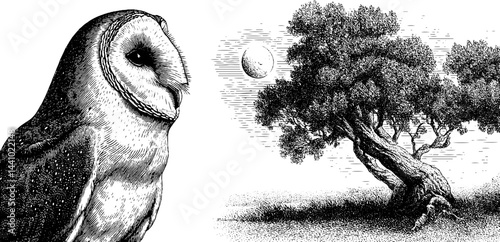 Engraved barn owl with moonlit tree scene for artistic design