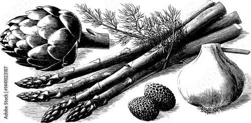 Engraved illustration set of asparagus and artichoke for culinary design