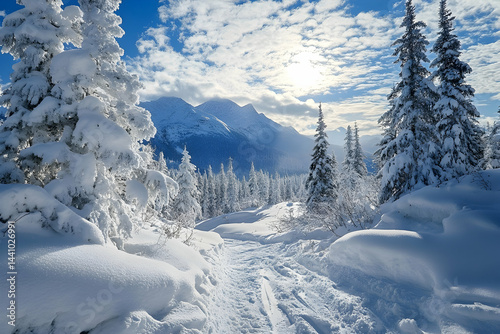 winter mountain landscape