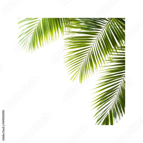 Lush Tropical Palm Fronds Corner Design Element