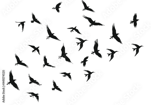 Silhouetted birds are shown in flight, creating a beautiful image of nature's airborne ballet.