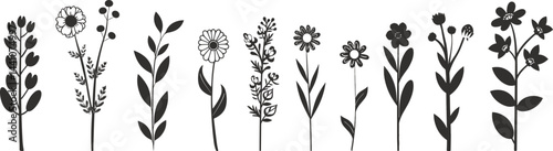 Diverse black floral silhouettes on slender stems create a minimalist, natural elegance.