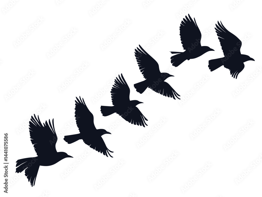 Silhouette of Five Flying Birds on White Background
