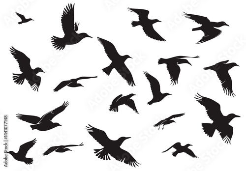Silhouetted birds soar across the sky, wings spread in graceful flight, creating a sense of freedom.