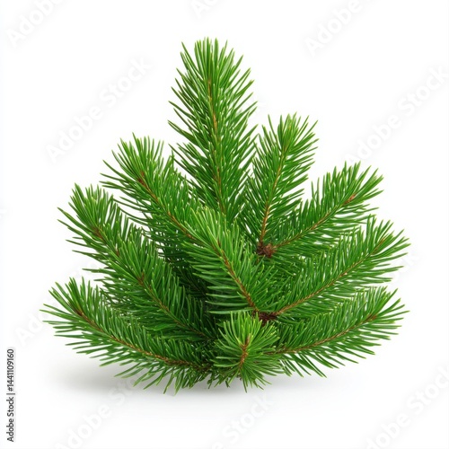 Obraz na płótnie Fresh Green Fir Sprig Arrangement on White Background for Nature Decor w salonie