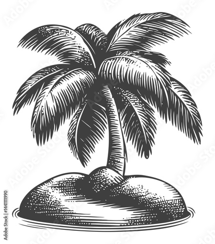 Vintage Hand-Drawn Illustration of a Palm Tree on an Island