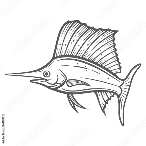 Sailfish Illustration - Indo-Pacific Istiophorus Platypterus