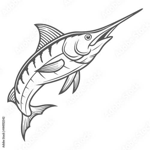 Blue Marlin Illustration, Makaira Nigricans Outline