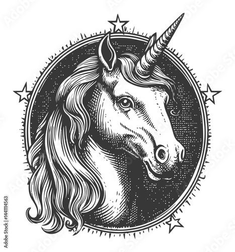 Vintage Hand Drawn Unicorn Illustration with Stars and Details