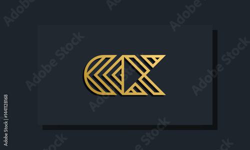 Elegant line art initial letter  DX  logo.