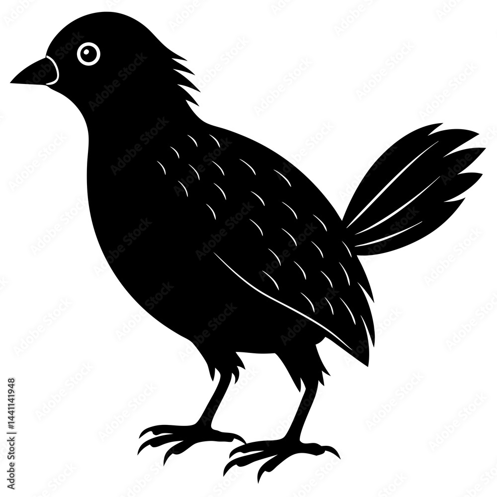 Jungle Babbler Silhouette Vector on White Jungle Babbler Silhouette Vector on White