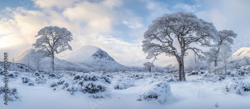 Snowy Winter Landscape with Trees and Mountains