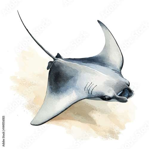 Manta Ray Gliding Over Ocean Sand, watercolor vector, isolated on a white background.