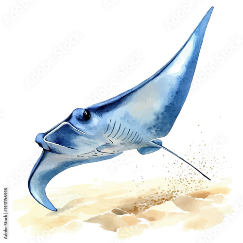 Manta Ray Gliding Over Ocean Sand, watercolor vector, isolated on a white background.