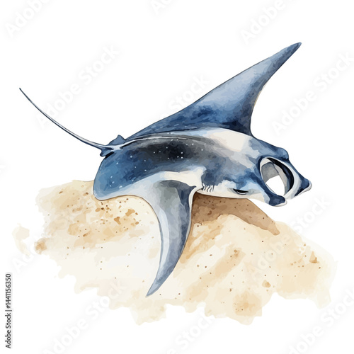 watercolor of Manta Ray Gliding Over Ocean Sand, vector, isolated on a white background.