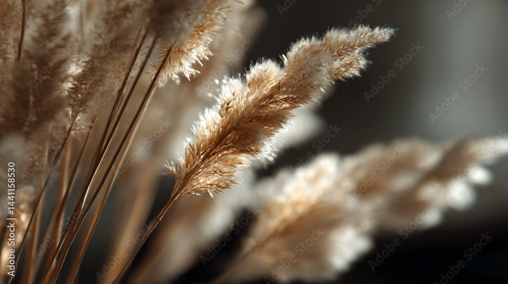 Dried grasses, neutral tones, and texture.