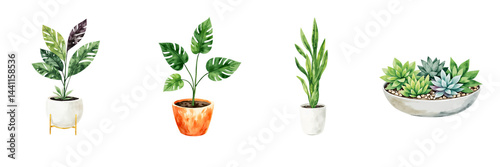 Watercolor potted plants collection, indoor house plants set png