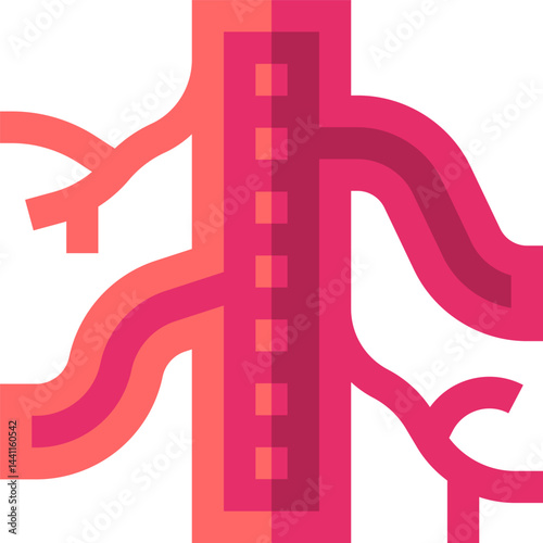 vascular illustration on a white background    