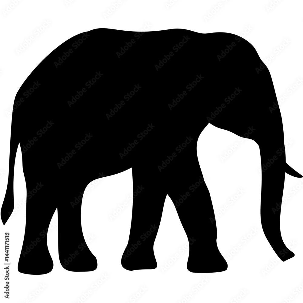 Elephant silhouette Elephant silhouette