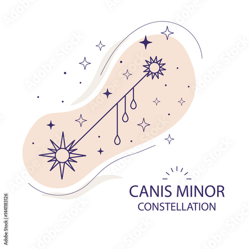 Star constellation Canis Minor vector illustration