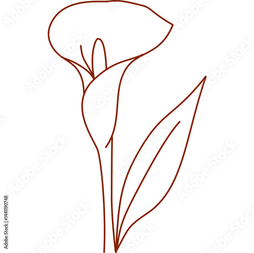 Foto alcatraz, outline, hand drawn, illustration, isolated, line, minimal, nature, pl