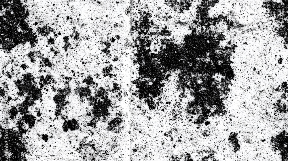Abstract monochrome texture of a weathered surface. Abstract monochrome texture of a weathered surface.