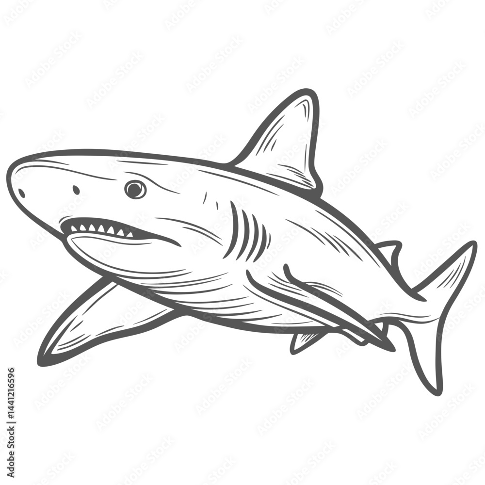 Blacktip Reef Shark Line Art Illustration