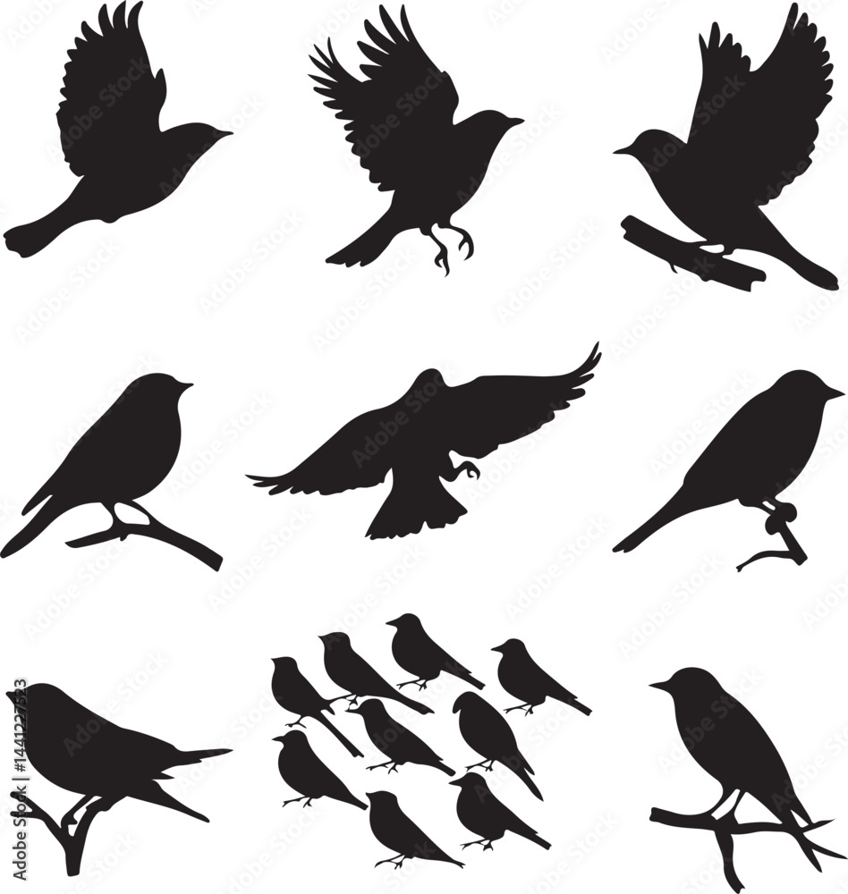 Fototapeta premium A collection of black bird silhouettes in various flying and perched positions, displayed on a white background