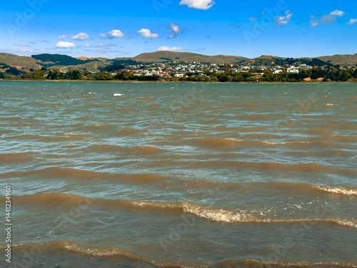Muddy sediment in Pāuatahanui inlet, Porirua Harbour, New Zealand. Construction, farming, forestry and erosion are to blame for an increase in sediment which threatens many species.