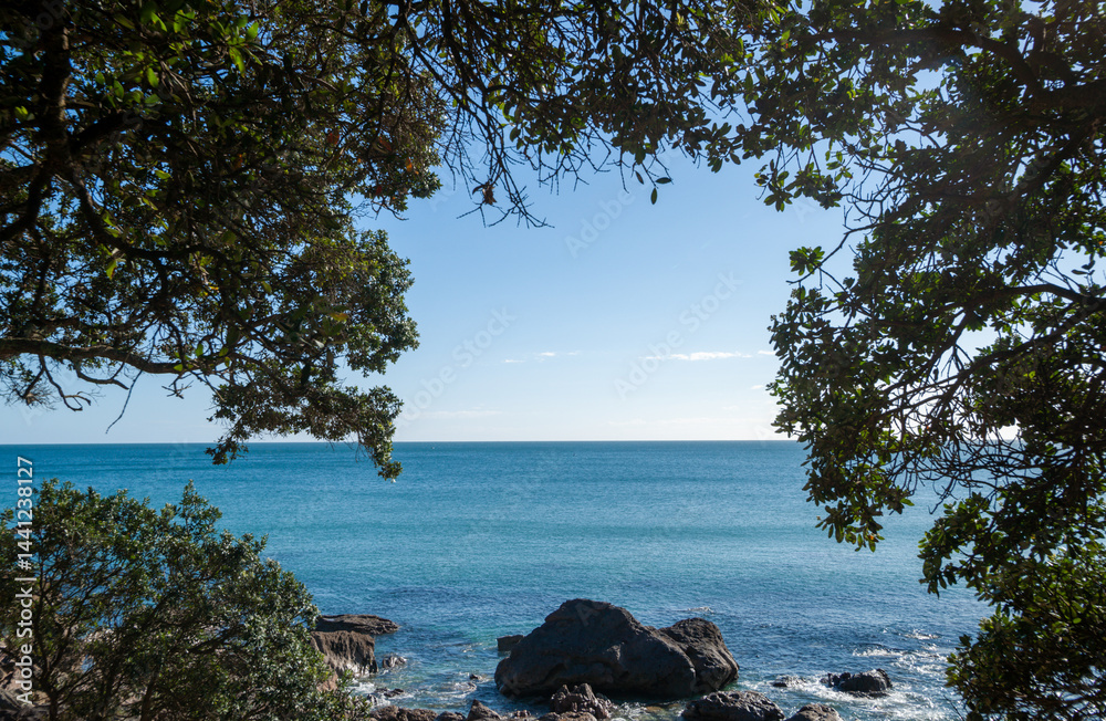 Ocean view to horizon from base track framed by pohutukawa foliage