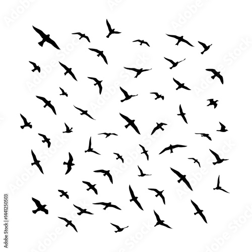 vector illustration of a flying bird