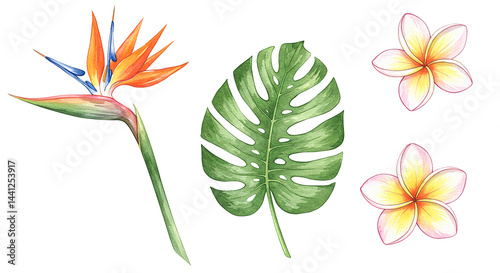 Watercolor tropical flowers and leaves creating exotic composition