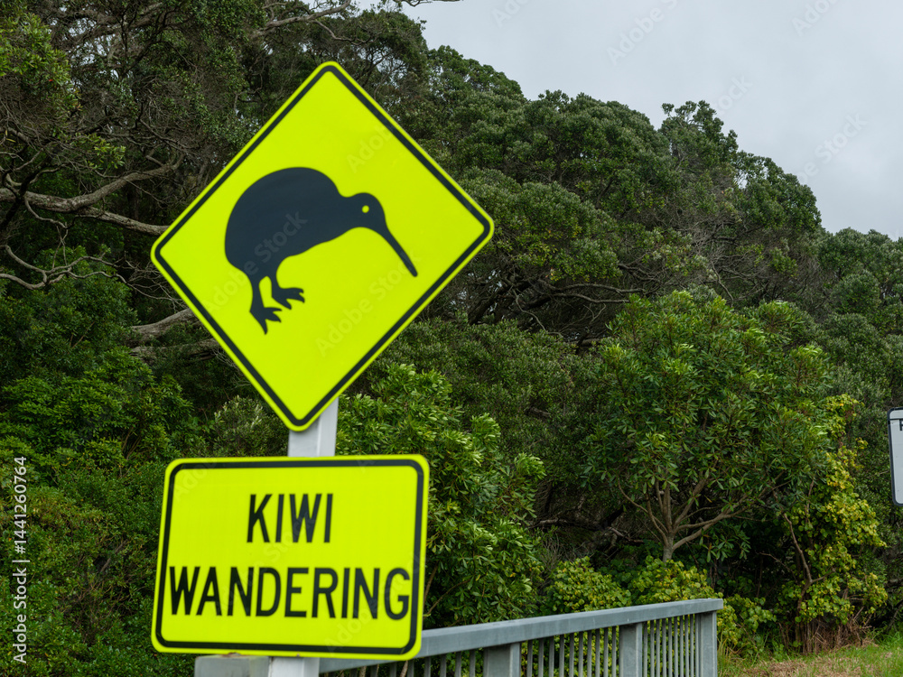 Driver warning sign advising of wandering kiwi