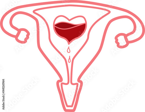 Woman uterus illustration