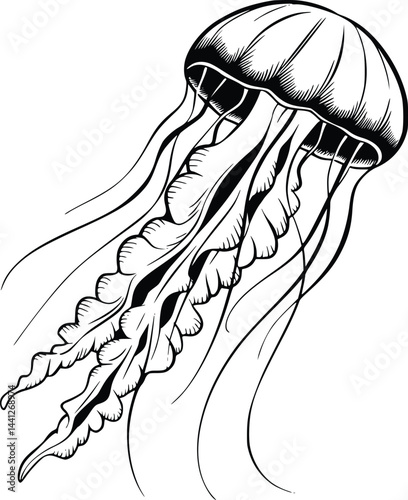 Black and white bold vector of a jellyfish drifting, isolated on white background.