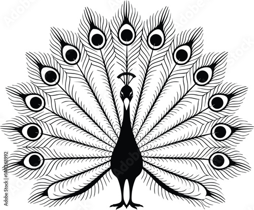 Black and white bold vector of a peacock feathers, isolated on white background.