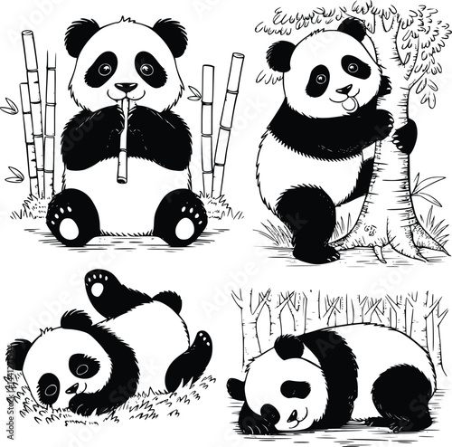 Bold black and white hand-drawn illustrations of 4 pandas doodling eating bamboo, climbing trees, rolling in grass, and napping in the forest, isolated on white.