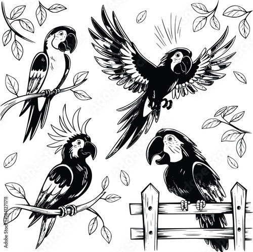 Bold black and white hand-drawn illustrations of 4 vibrant parrots doodling sitting on branches, flying through trees, squawking loudly, and resting on fences, isolated on white.