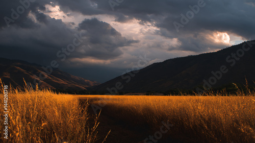 Golden field leading to mountains under dramatic clouds.