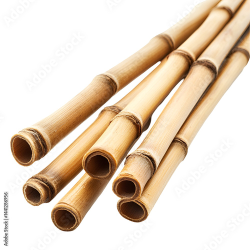 Golden Bamboo Stalks Closeup Nature Texture photo