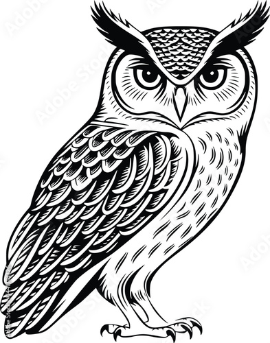 Black and white bold vector of a detailed owl, isolated on white background. photo